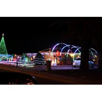 christmas lights cruise 1